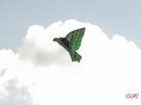 Roemoe_2014_143