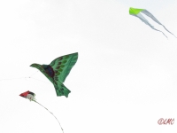 Roemoe_2014_144