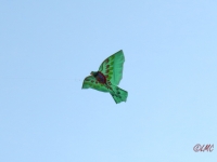 Roemoe_2014_145