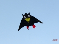 Roemoe_2014_147