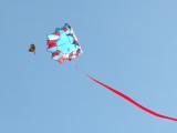 Roemoe_2014_139