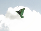 Roemoe_2014_143