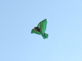 Roemoe_2014_145