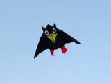 Roemoe_2014_147