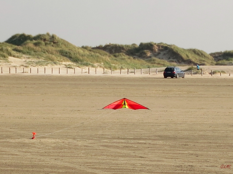 Roemoe_2014_149