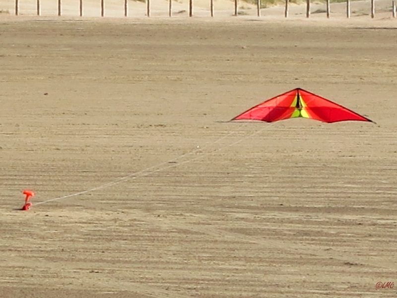 Roemoe_2014_150