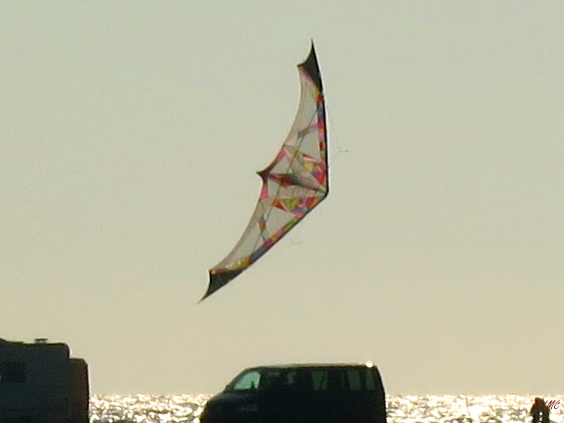 Roemoe_2014_151