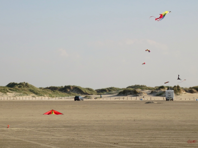 Roemoe_2014_152