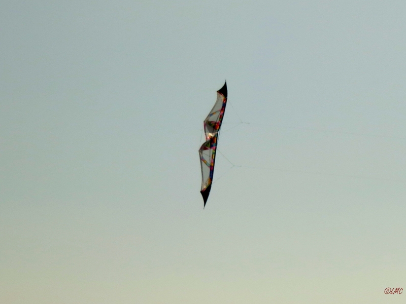 Roemoe_2014_153