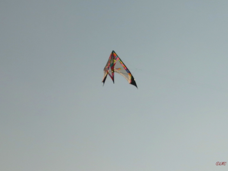 Roemoe_2014_154