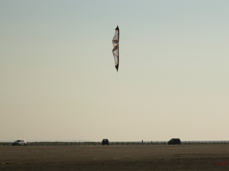 Roemoe_2014_155