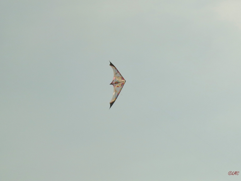 Roemoe_2014_156