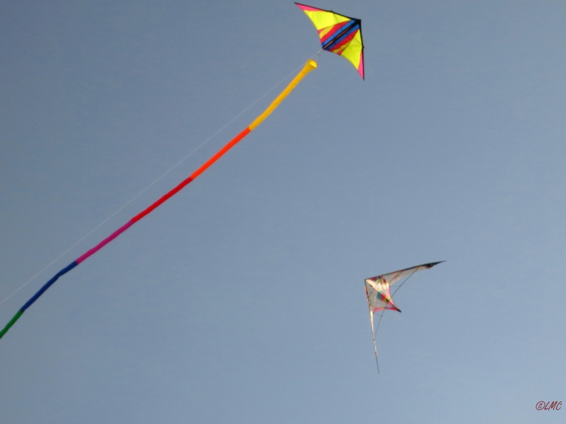 Roemoe_2014_157