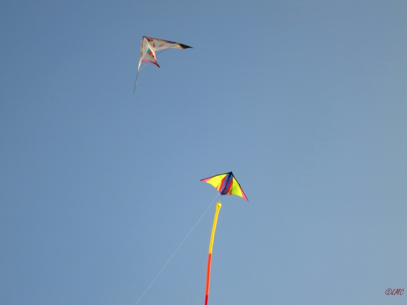 Roemoe_2014_158