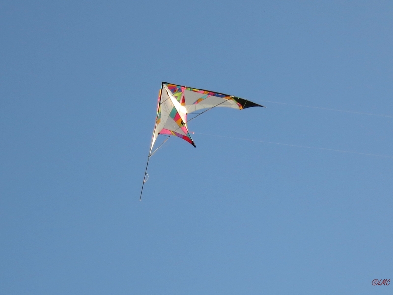 Roemoe_2014_159