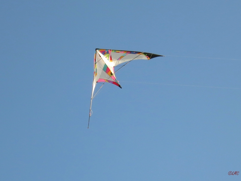 Roemoe_2014_160
