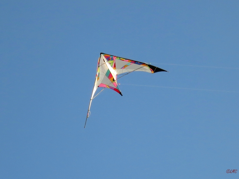 Roemoe_2014_161