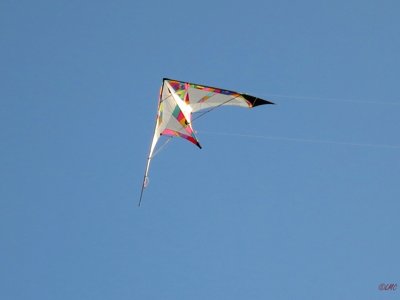 Roemoe_2014_162