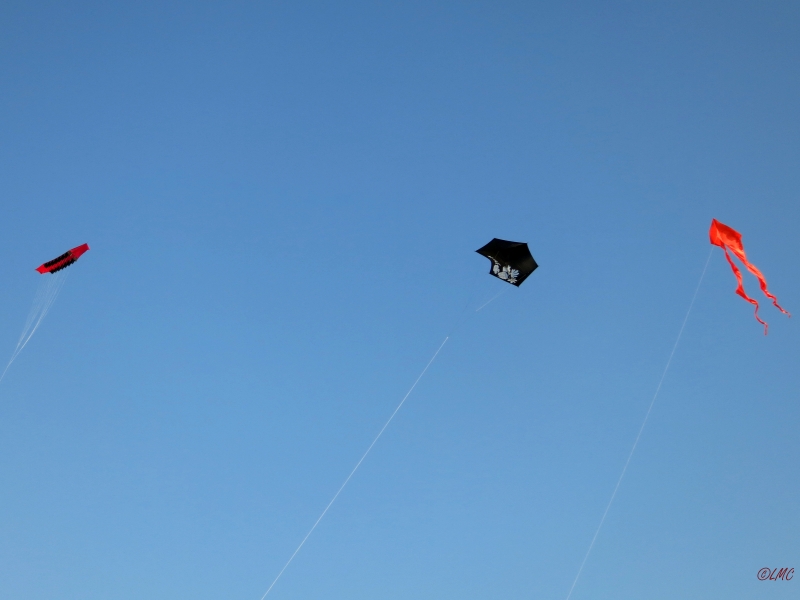 Roemoe_2014_164