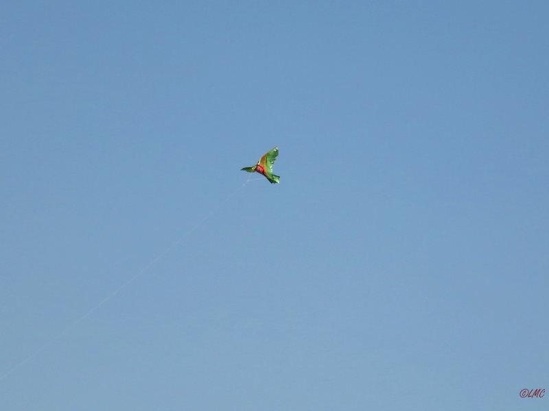 Roemoe_2014_165