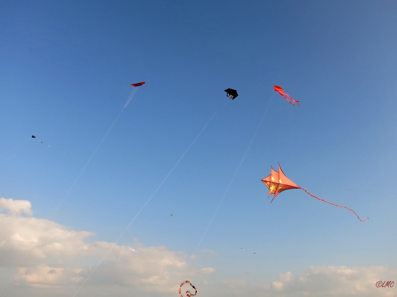 Roemoe_2014_166