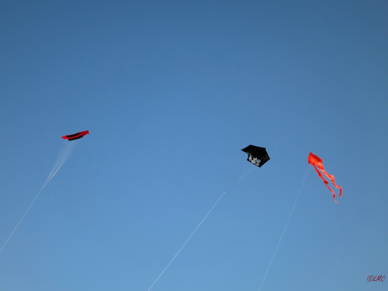 Roemoe_2014_167
