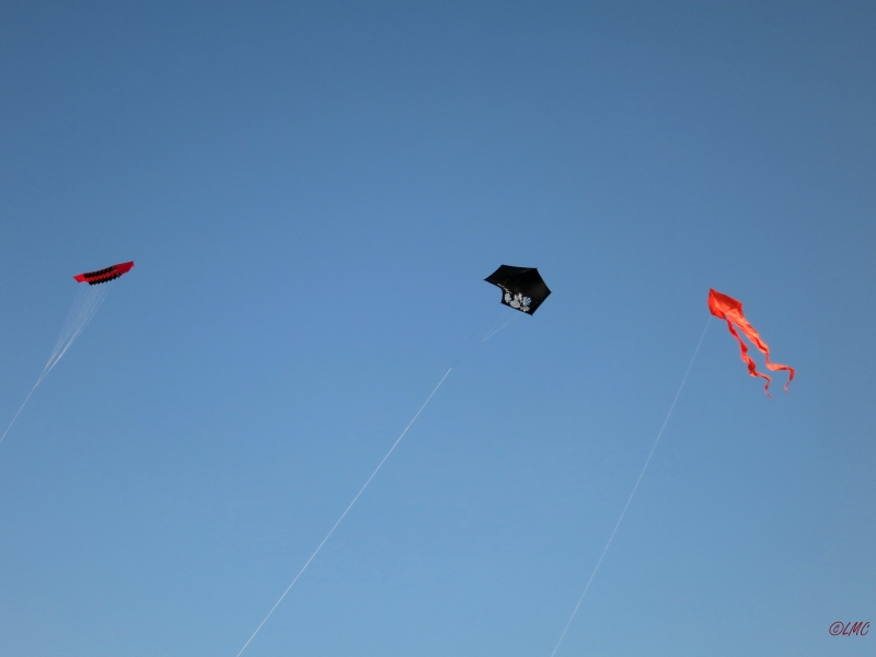 Roemoe_2014_168