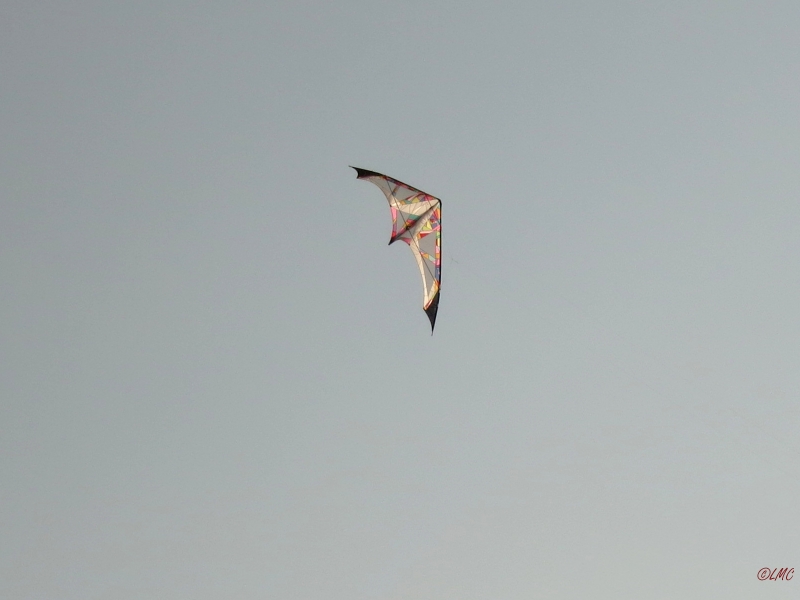 Roemoe_2014_169