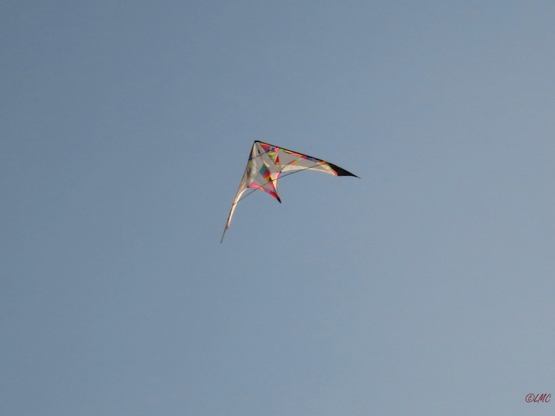 Roemoe_2014_170