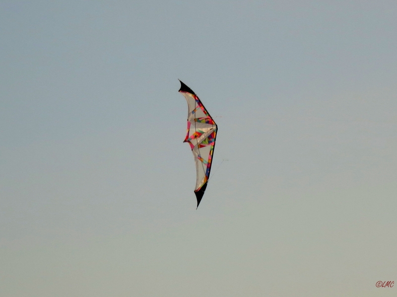 Roemoe_2014_171