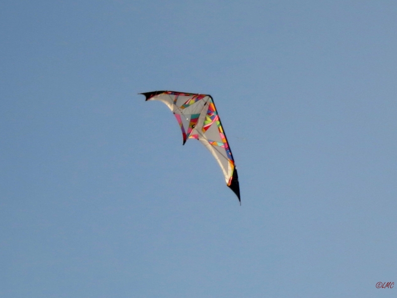 Roemoe_2014_172