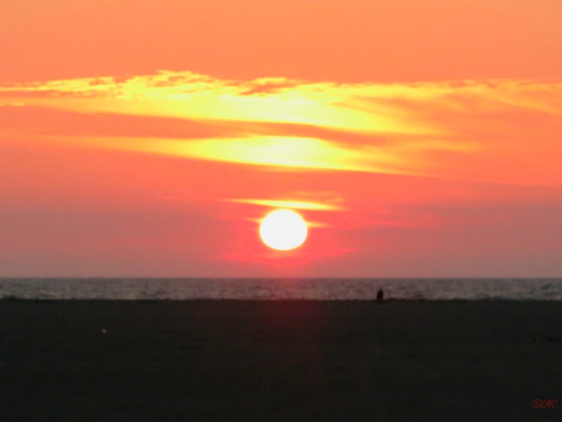 Roemoe_2014_182