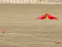 Roemoe_2014_150