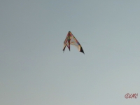 Roemoe_2014_154