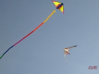Roemoe_2014_157