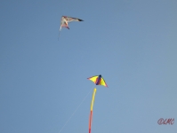 Roemoe_2014_158