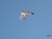 Roemoe_2014_159