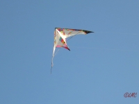 Roemoe_2014_160