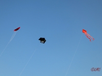 Roemoe_2014_163