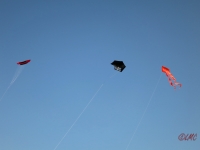 Roemoe_2014_168