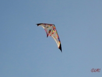 Roemoe_2014_172