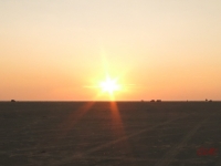 Roemoe_2014_175