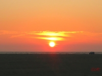 Roemoe_2014_180
