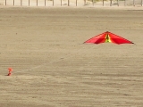Roemoe_2014_150