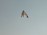 Roemoe_2014_154