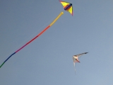 Roemoe_2014_157