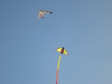Roemoe_2014_158