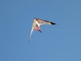 Roemoe_2014_161