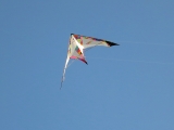 Roemoe_2014_162
