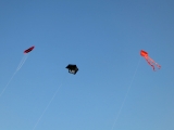 Roemoe_2014_163